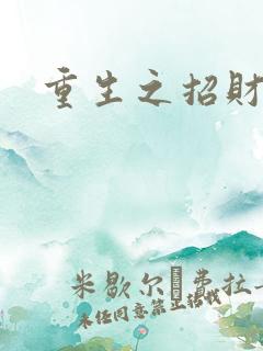重生之招财进宝
