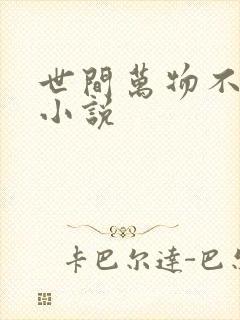 世间万物不及你小说