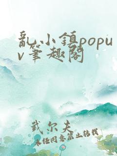 乱小镇popuv笔趣阁