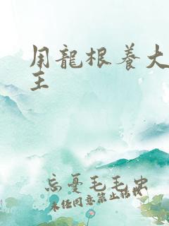 用龙根养大的公主