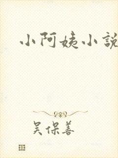 小阿姨小说