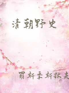 清朝野史
