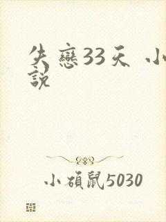 失恋33天 小说