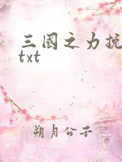 三国之力挽狂澜txt