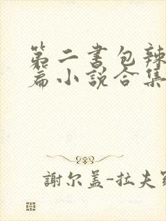 第二书包辣网短篇小说合集