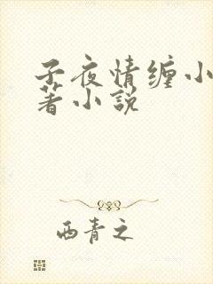 子夜情缠小说原著小说