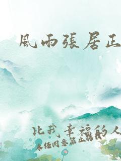 风雨张居正下载