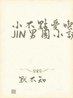 小不点爱吃肉混JIN男团小说