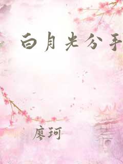 白月光分手日常