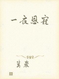一夜恩宠