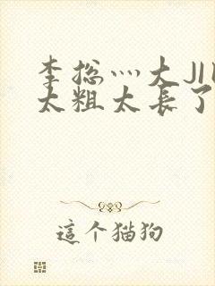 李总灬大JI巴太粗太长了