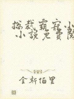 总裁霸宠小娇妻 小说免费阅读