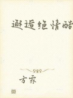 邂逅绝情酷总裁