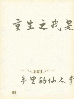 重生之我是段誉