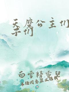 天魔公主们的王子们