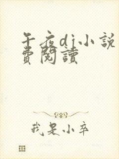 午夜dj小说免费阅读