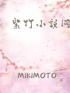紫竹小说网