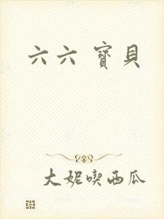 六六 宝贝