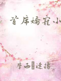 首席娇宠小情人