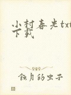 小村春光txt下载