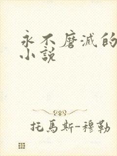 永不磨灭的番号小说