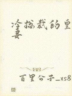 冷总裁的皇后暖妻