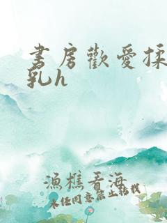 书房欢爱揉捏娇乳h