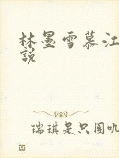 林墨雪慕江行小说