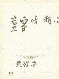 宋雨晴 赵小刚免费