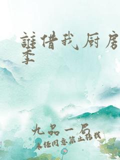 谁借我厨房第三季