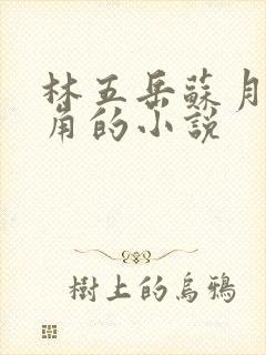 林五岳苏月灵主角的小说