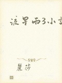 流星雨3小说