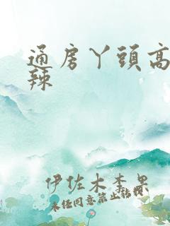 通房丫头高h肉辣