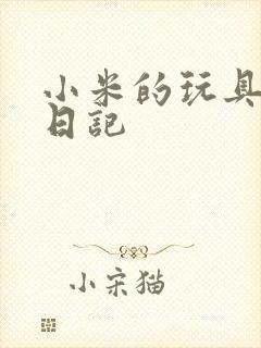 小米的玩具羞辱日记