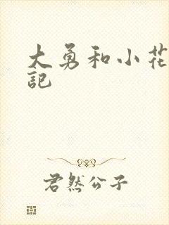 大勇和小花的日记