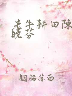 老牛耕田陈雪杨晓芬