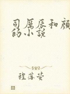 司厉辰和颜辞兮的小说