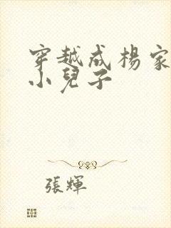 穿越成杨家将最小儿子