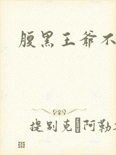 腹黑王爷不良妻