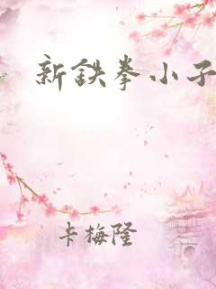 新铁拳小子