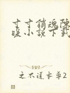 寸寸销魂陈聪王暖小说下载