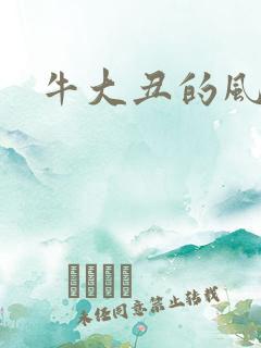牛大丑的风流记