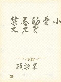 禁忌的爱小说全文免费