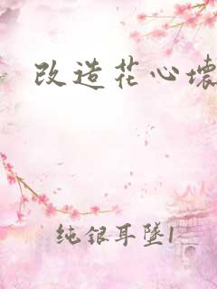 改造花心坏相公