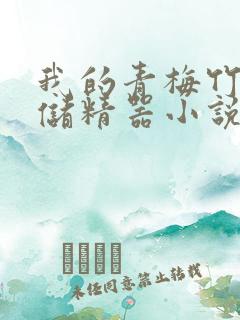 我的青梅竹马是储精器小说