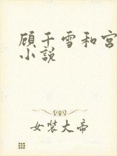 顾千雪和宫凌沨小说