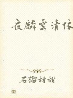 夜麟云清依小说