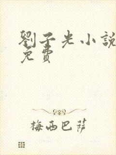 刘子光小说全文免费