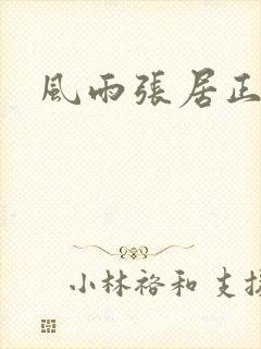 风雨张居正下载