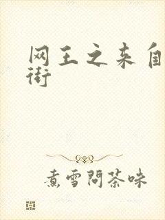 网王之来自流星街